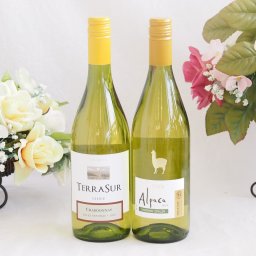 産地別白ワインシャルドネ2本セット(テラスル(チリ) サンタ ヘレナ アルパカ(チリ)) 750ml×2本