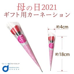 カーネーション(造花) 1本 母の日 ギフト プレゼント 人気 北海道 お取り寄せ