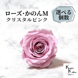 大地農園 「ローズかのんM ホワイトシャンパン 選べる個数」 プリザーブドフラワー バラ プリザ 花材 ハーバリウム おしゃれ かわいい プレゼント 贈り物 オオチノウエン