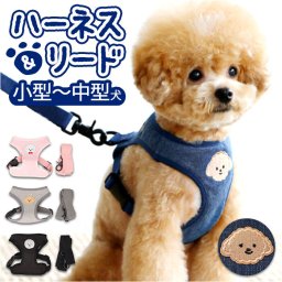 小型 犬 ハーネス リード セット 通販 ハーネスリード ハーネスリードセット ハーネス＆リード 胴輪 首輪 リードセット かわいい おしゃれ 抜けない 犬用 簡単装着 ペット 小型犬 いぬ イヌ お散歩 散歩 お出かけ おでかけ ペット用 可愛い