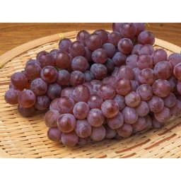 デラウェア 〈山梨.山形〉 250g～350g×2pc ぶどう