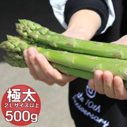 ハウス栽培　北海道富良野産　グリーンアスパラ　極太　２Lサイズ　500ｇ