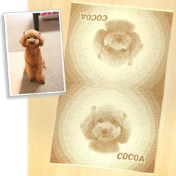 トイプードル（作品例） ペット 写真 オーダー ひざ掛けハーフ 犬が好き 猫が好き 犬好き 愛犬 猫好き 愛猫 猫柄 ペットの思い出 女性 彼女 母 チワワ ダックス 柴犬 ペットの写真で作る オリジナル 誕生日 母の日 還暦祝い ペットロスの思い出に