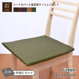【カバー&中身セット】クッション 低反発 シートクッション おしゃれ 洗濯可 43×43×2cm 薄タイプ エスニック アジアン 和風  和モダン 新生活 法事 レトロ 和室 洋室 リビング 北欧 無地 かわいい 椅子用 車用 オフィス 日常を”粋”に彩る 紬風生地 彩-サイ-  グリーン