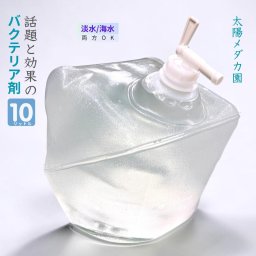 バクテリア 淡水海水両用 メダカ ディスカス チョウチョウオ ヤッコ メダカ 鯉 金魚 川魚 アクアリウム ニゴリ除去 ウォータークリーン 10L 観賞魚 水質調整剤 