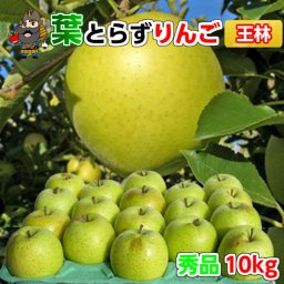【送料無料】葉とらずりんご 王林 10kg 36-40玉前後 秀品 贈答用ランク 青森県産 産地直送 青研 |お土産 果物 ギフト フルーツ 贈答用りんご リンゴ 青森りんご 贈答用 アップル 林檎 内祝い お取り寄せ くだもの 帰省暮 おうりん お歳暮 御歳暮 2022