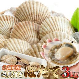 北海道産 両貝付きほたて（3kg） 北海道産両貝付きほたてを新鮮そのまま生冷凍!甘味が強くワンランク上の美味しさ! ホタテ ほたて 帆立 殻付き 両貝付き 生冷凍 刺身 BBQ ホタテ殻付き NK00000139