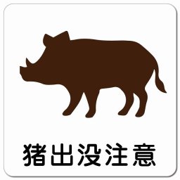 猪出没注意 ピクトサイン マグネットステッカー マグネット 強力 正方形 13x13cm インテリア 施設 案内 注意 安全対策