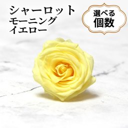 大地農園！プリザーブドフラワー 「シャーロット モーニングイエロー 選べる個数」 プリザ 花材 ハーバリウム おしゃれ 黄色 イエロー バラ  かわいい プレゼント 贈り物 オオチノウエン