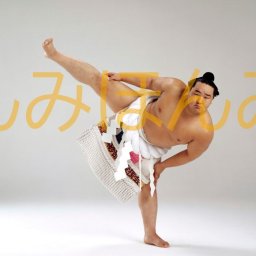 朝青龍明徳関　優勝ミニ額 大相撲ミニ額 大相撲優勝額　平成１６年７月場所 優勝 横綱 朝青龍明徳関（８回目の優勝） ※受注生産品のため、ご注文後はいかなる理由でも返品、返金はできません
