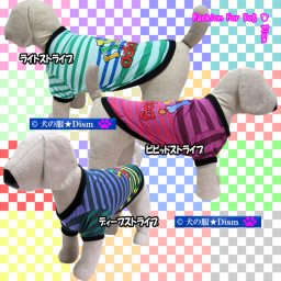 犬服 マルチカラーストライプＴシャツ ( 中型犬用 ) 