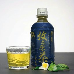 静岡 牧之原茶 雫茶 プレミアム ペットボトル やぶきた 緑茶 日本茶 お取り寄せ 静岡県産 やぶきた茶 清涼飲料水 ドリンク お茶 350ml