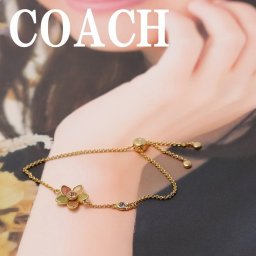 コーチ COACH ブレスレット チェーン バングル ワイルドフラワー ラインストーン 花 ワイルドフラワー CB401UJB 【ネコポス】 ブランド 人気