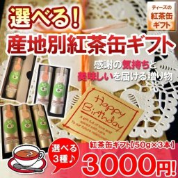 ☆選べる！ 産地別紅茶缶ギフト☆紅茶 詰め合わせ【50g×3本】（インド・スリランカ・中国・ケニア・etc）