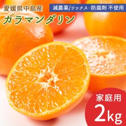 中島産 完熟春みかん カラマンダリン 2kg 家庭用 サイズ混合 中島みかん 産地直送 島みかん 柑橘 愛媛ミカン 初夏 夏みかん 国産 瀬戸内海 離島 愛媛県 希望の島産 産直 減農薬 ノーワックス 防腐剤不使用【送料無料】