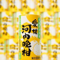 愛工房  河内晩柑ジュース 125ml×30本 愛媛ミカン 愛媛みかん ストレート果汁100% オレンジジュース 愛媛県産 お土産 プレゼント 宇和島 八幡浜 無添加 果汁 果汁100% 果汁100ぱーせんと みかんじゅーす みかんジュース 河内晩柑 送料無料※除外地域あり