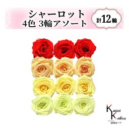 大地農園！プリザーブドフラワー「シャーロット 4色×3輪アソート 計12輪」「レッド ジュリアオレンジ モーニングイエロー フレッシュグリーン」プリザ 花材 ハーバリウム おしゃれ ピンク バラ かわいい プレゼント 贈り物 オオチノウエン