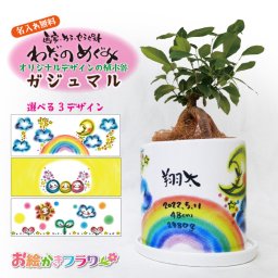 [受け皿付き]わだのめぐみ 命名 フラワーギフト 内祝い 観葉植物 ガジュマル ギフト プレゼント 孫 子ども 名入れ 父の日 父の日ギフト 敬老の日 父の日のプレゼント 人気 おすすめ 内祝い 誕生日プレゼント オリジナル