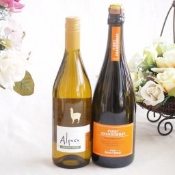 余韻に酔いしれるシャルドネ白ワイン2本セット(アルパカ ネセミヨン辛口Alc.12.5%(チリ) サンテロ ピノ スプマンテ 辛口Alc.11.5%(イタリア)) 750ml×2本