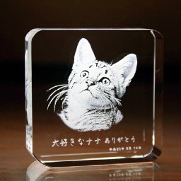 【名入れ】クリスタル ペーパーウエイト 2Dインサイドレーザー加工 クリアベース ( ネーム メッセージ 名前入り ) 法人 記念品 創立記念 周年記念 竣工 表彰 御祝  退職祝い 還暦祝い 長寿祝い オリジナルギフト ガラス 彫刻