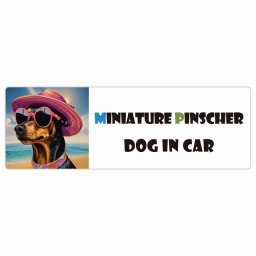 Miniature Pinscher ミニチュアピンシャー 犬 カーステッカー DOG IN CAR 海 麦わら帽子 サングラス 夏 20x6.7cm 長方形 防水 屋外 屋内 車ステッカー ステッカー 車 かっこいい おしゃれ かわいい バイク サインステッカー カーサイン