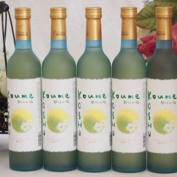 ワイナリーがつくった梅酒です 甲州小梅(山梨県)500ml×5