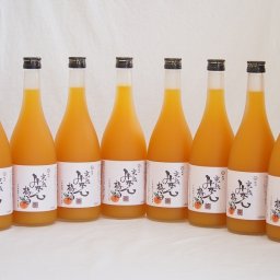 紀州完熟みかん梅酒 中野BC(和歌山県)720×8本