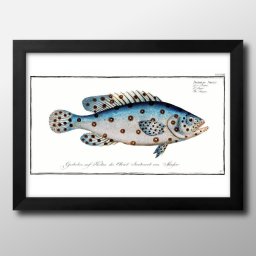 海洋生物 ビンテージイラスト A3 サイズ ポスター アート おしゃれ 絵画 インテリア 北欧 イラスト マット紙 艶消し アートパネル 額 フレーム デザイン 壁掛け ギフト 新築祝い ディスプレイ 引越し祝い　新生活　空間デザイン 