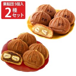 岡山 栗餡団 小倉餡 栗餡 冷凍 饅頭 ギフトセット 2種 計10個入 和菓子 冷凍 まんじゅう おやつ お茶菓子 お茶請け