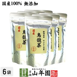【国産 100%】烏龍茶 ウーロン茶 100g×6袋セット 無添加 静岡県産 やぶきた品種 国産 ダイエット 日本茶 茶葉 ギフト プレゼント プチギフト お茶 敬老の日 2026 内祝い お返し