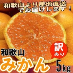【年明け出荷】 和歌山県産 訳あり みかん ミカン 5kg (傷あり サイズ不揃い ご自宅用) 【送料無料】 1月中旬以降より発送開始