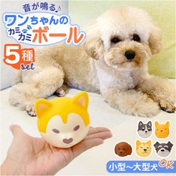 犬 おもちゃ 音が鳴る ボール 5種セット 通販 フェイスボール 玩具 オモチャ 犬オモチャ 犬おもちゃ ペットおもちゃ 犬用おもちゃ 鳴るボール 知育玩具 犬のおもちゃ 犬用 かわいい 可愛い 犬用品 ペット用 ペット用品 ペットグッズ