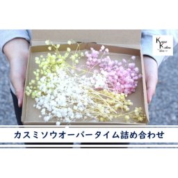 送料無料　大地農園　プリザーブドフラワー　カスミソウオーバータイム「カラーミックス」　詰め合わせ　15g分　プリザ　カスミソウ 花材 ハーバリウム　フラワー資材　フラワーアレンジ　ハンドメイド資材 アレンジメント DIY キット