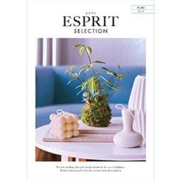 【ギフト対応無料】カタログギフト ESPRIT(エスプリ) ピュア 3,300円コース 選べる 内祝い 結婚祝い 出産祝い ※送料無料(北海道・沖縄は除く)