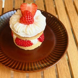 【愛犬ちゃん用】軽井沢農園パティスリーより完熟いちごのネイキッドケーキケーキ(Sサイズ）)