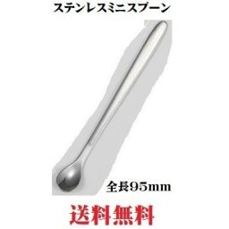 ミニスプーン 2個セット カラシスプーン ステンレスミニスプーン 薬味スプーン アクアリウム用 スプーン 小サイズ ポイント消化
