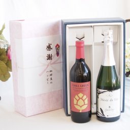 実りの秋の贈り物 感謝の贈り物ボックス マーガオの柑橘香麦焼酎と国産ワインセット(MdV オアシス3 白スパークリングワイン辛口(長野県)750ml濱田酒造 麦焼酎 チルグリーン ビター＆トロピカル(長崎県) 750ml