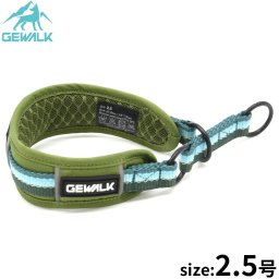 ジウォーク GEWALK ハーフチョーク（首輪） 2.5号 グリーン