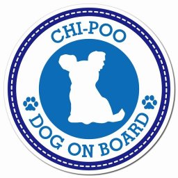 CHI-POO チワプー ブルー 肉球 カーサイン 車 マグネットステッカー 犬 マグネット 強力 直径13cm 丸型 おしゃれ かわいい ドラレコステッカー 安全対策 危険運転 煽り運転 アニマル 動物 犬種別 屋外 防水 屋内 肉球マーク