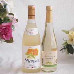 プレミアムなナイアガラワインと国産ワインセット 信州シャインマスカット＆ナイアガラ スパークリングワインやや甘口(長野県)500mlおたる完熟ナイアガラ甘口白ワイン720ml