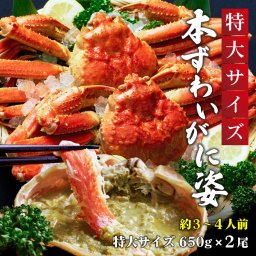 本ズワイガニ 姿 650g 2尾セット 特大 ズワイ蟹 ずわいがに ずわい蟹 カニ かに 海鮮 札幌中央卸売市場 グルメ 蟹 ずわい ズワイ ズワイガニ 蟹味噌 カニ味噌 海の幸 お祝い 【冷凍】 北海道