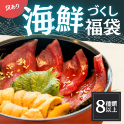 【魚屋の福袋】8種以上入り（天然あわび・天然まぐろ刺身ブロック・生うに等々）20000円相当 ウニ 魚介類 御歳暮 贈答品 お中元 誕生日 ホームパーティ BBQ  ギフト プレゼント
