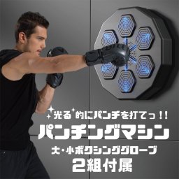 パンチングマシーン グローブ付 1日5分ダイエット 家庭用 ボクササイズ ボクサー パンチングマシン トレーニング ストレス解消 発散 大人 室内 子供 男性 女性 ボクシング エクササイズ パンチングマシーン グローブ付 通販 2026