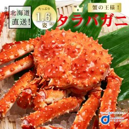  たらばがに 姿 1.6kg前後 北海道 taraba たらば カニ かに 海鮮ギフト かに鍋 札幌場外市場 グルメ 母の日 ギフト プレゼント 人気 【冷凍】 お取り寄せ