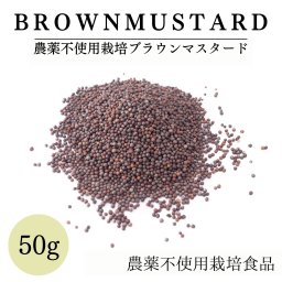 【鎌倉香辛料】 ブラウン マスタード 50g 【 農薬不使用栽培／北海道産／肉料理や魚料理にも】 ブラウンマスタードシード 粒マスタード からし マスタード 辛子 鎌倉てとら