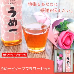 【失敗しない母の日ギフト】梅酒とソープフラワーセット【送料無料】お酒 メッセージカード付 無料ラッピング対応 プレゼント 女性 誕生日 梅酒 敬老の日 母の日 お祝い お礼 両親 贈り物 贈答品 お洒落 かわいい ボトル シャボンフラワー ブーケ 花束 お母さん プチギフト おしゃれ