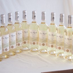 11本セット(フランストリプル金賞白ワイン セラ･ロッシュ ガイア) 750ml×11本