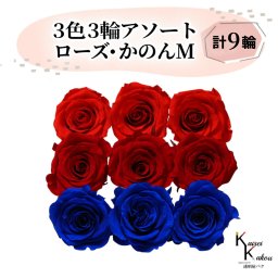 大地農園 「ローズかのんM 3色×3輪アソート 計9輪」 「レッド クイーンレッド インディゴブルー」　プリザーブドフラワー バラ プリザ 花材 ハーバリウム おしゃれ かわいい プレゼント 贈り物 オオチノウエン