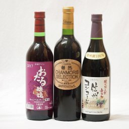 セレクト赤ワイン3本セット(樽熟カベルネソーヴィニヨン 信州コンコード中口 北海道おたるキャンベルアーリ辛口)720ml×3本