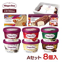 敬老の日 お中元 残暑見舞い アイス ギフト対応 【正規代理店】 ハーゲンダッツ Aセット 8個入り 人気のバラエティ8種×各1個